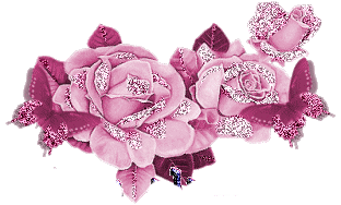 زهور متحركة جميلة جداً انستقرام - صور ورد وزهور Rose Flower images